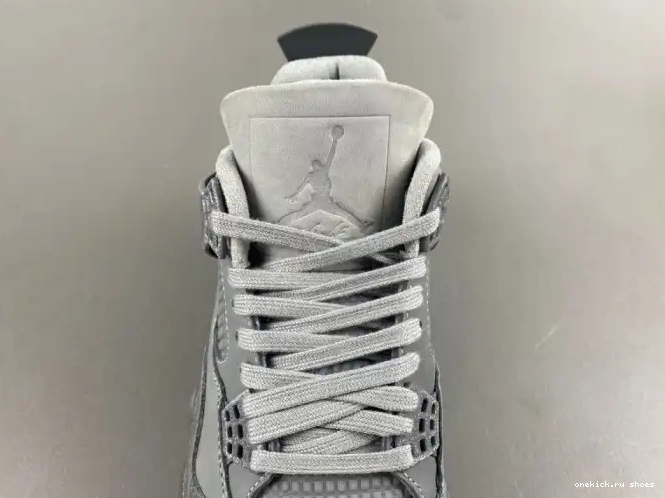 Cheap Air Paris 4 Jordan SE Olympics 0511